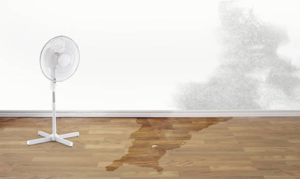 Best Sewage cleanup and water damage restoration  in Lower Grand Lagoon, FL