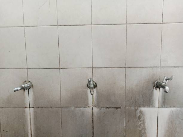 Best Flood restoration services  in Lower Grand Lagoon, FL