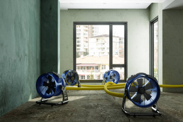 Reliable Lower Grand Lagoon, FL Water damage restoration Solutions